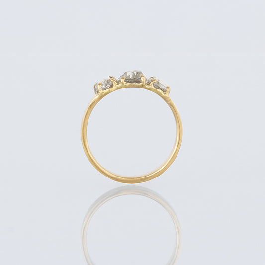 0.54 Carat One-of-a-Kind Rose Cut  Diamond Ring | DR223-OOAK