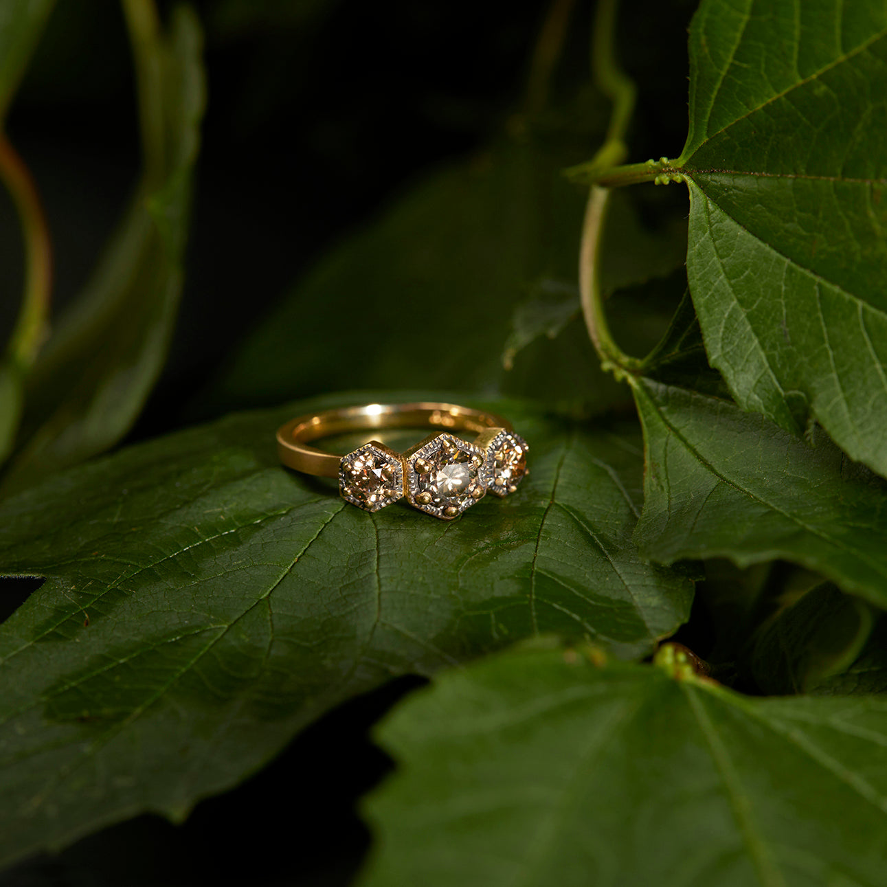 R8403BR | Queen Brown Diamond Triple Hexagon Ring