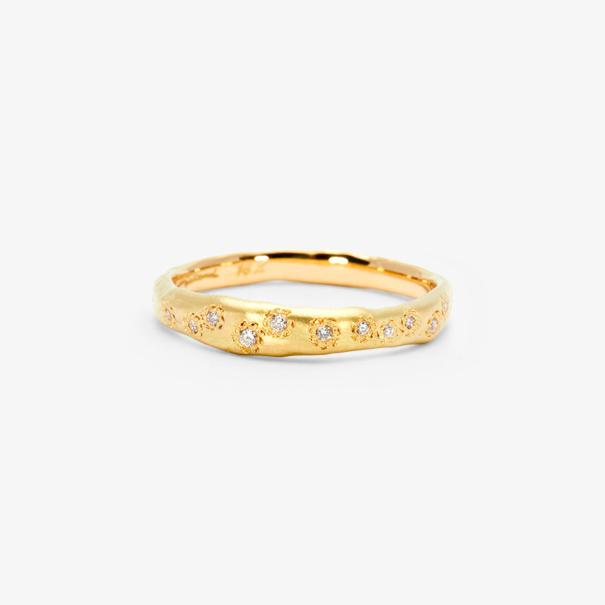 R21001W | Encrusted Diamond Band